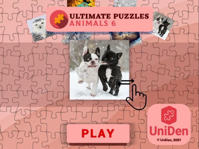 Ultimate Puzzles Animals 6