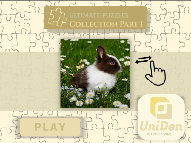 Ultimate Puzzles Collection