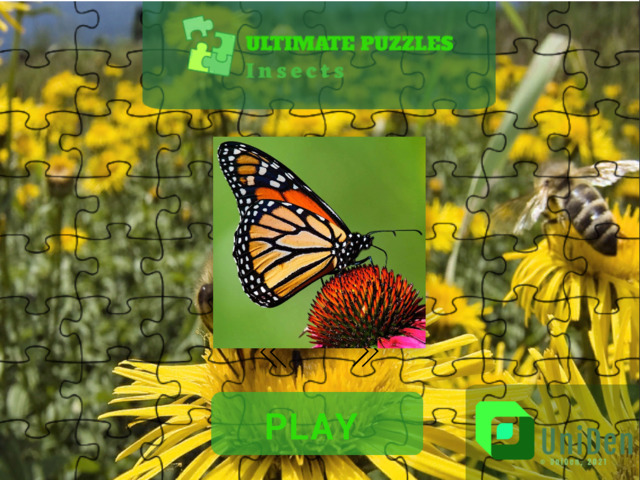 Ultimate Puzzles Insects