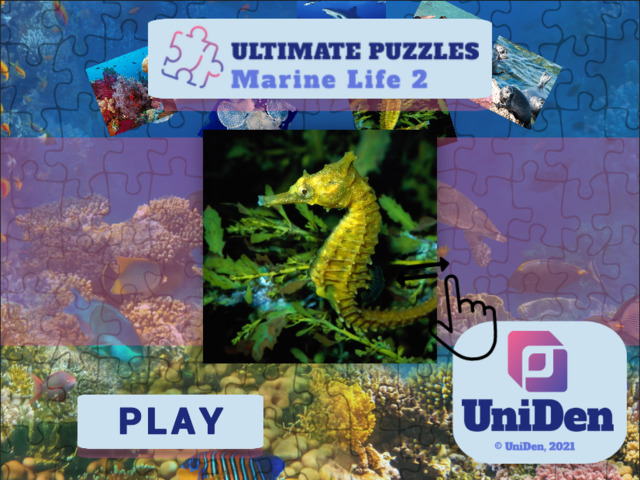 Ultimate Puzzles Marine Life 2