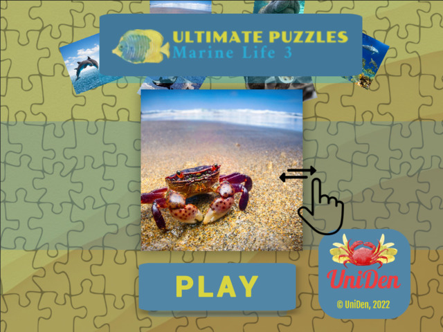 Ultimate Puzzles Marine Life 3