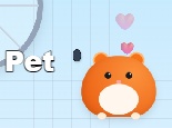 tooltip-img